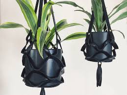 To calculate the overall star rating and percentage breakdown by star, we don't use a simple average. Heavy Metal Houseplants The Headbanger S Ball Goes Green Sunset Sunset Magazine