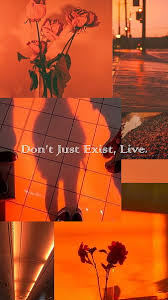 Maybe you would like to learn more about one of these? Page 4 Hd Orange Neon Wallpapers Peakpx