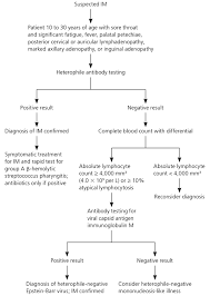 Common Questions About Infectious Mononucleosis American