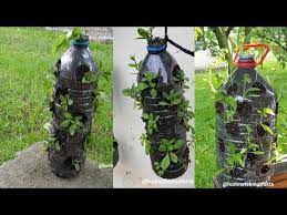 pet sisede cicek dikimi plastik siseden delikli saksi yapimi kendin yap diy calismalari youtube bi tki cicek kendin yap
