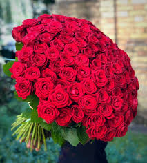 Browse and download the best free stock red flower images. Impressive 100 Royal Red Roses Bouquet For Special Occasion