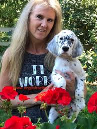 Black And White English Setter Puppies For Sale English Setters Setter Puppies English Setter Puppies English Setter