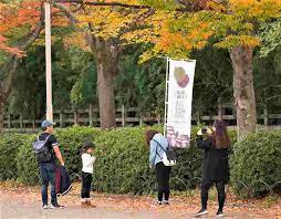 Bangun pagi macam biasa 5.30 pagi even wakeup call pukul 4.30 pagi. Cuaca Osaka Pada Bulan November Suhu Dan Pemendakan Best Of Japan