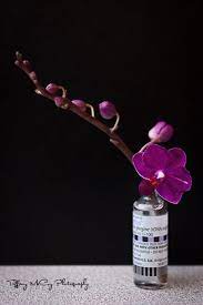 This Is A Stalk That Broke Off My Orchid I Love My Orchids And I Didn T Want To Waste This Little Gal So I Grabbed On Bottle Art Type One Diabetes