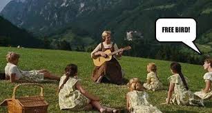 Y All Got Any Skynyrd Sound Of Music British Memes Musical Movies