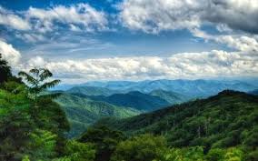 We did not find results for: Smoky Mountains Hd Wallpapers Background Images