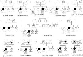 The other is the x chromosome. Family Tree Of 13 Probands One Family Had X Chromosome Linked Gene Download Scientific Diagram