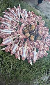 الحنيذ مهنة تتحول إلى إرث عائلي جريدة الوطن السعودية