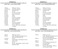 How To Potty Train Your Puppy In 7 Days Two Crate Training Schedules Aussiedoodle And L In 2020 Crate Training Schedule Puppy Training Schedule Potty Training Puppy