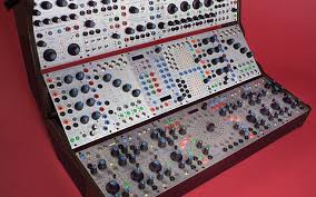 Image result for Buchnera keilii