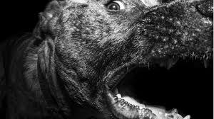 Die Rache des Pietro De Negri | STERN.de