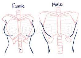 Check spelling or type a new query. How To Draw Anime Anatomy Step By Step Drawing Guide By Puzzlepieces Dragoart Com