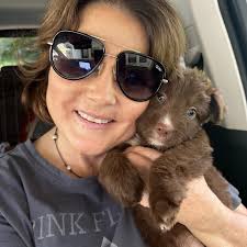 Critical Memphis Animals