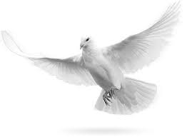 رزمنده سایبری عشق است بر آسمان پریدن Dove Images Black And Grey Tattoos Holy Spirit Dove