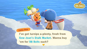 Daisy Mae - Turnip Guide - Animal Crossing: New Horizons Guide - Ign