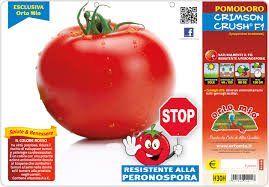 I pomodori crescono al meglio al caldo e. Pomodoro Tondo Crimson Crush F1 Acquistare Trapiantare E Coltivare