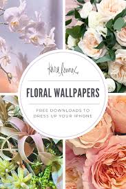 50+ beautiful flower background for your desktop: Keira Lennox Free Floral Wallpapers For Your Iphone