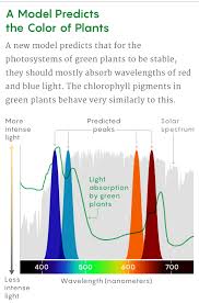 The reason for this, is that at the warm white color temperature, the ratio of wavelengths is ideal for plants. Why Are Plants Green To Reduce The Noise In Photosynthesis Quanta Magazine