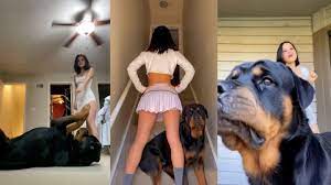 Hund stiehlt Influencer in Tanz-Videos die Show | STERN.de