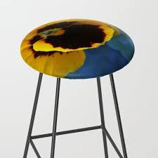 Yellow Pansy Flower Bar Stool Flower Bar Pansies Flowers Pansies