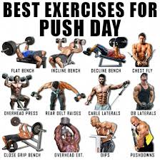 Proteins Play A Function In This Procedure And They Repair The Muscle Fibres That Have Been Damaged Throughout Push Workout Push Pull Workout Pull Day Workout