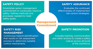 Aviation Safety Management System Vistair