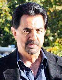 Retrouvez toute l'actualité sur la série tv esprits criminels ainsi que le résumé des épisodes, les critiques, les photos et les vidéos. David Rossi Wikipedia
