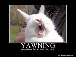 Yawning Funny Picture Quotes Quotesgram