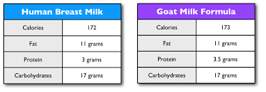 Goat Milk Formula Recipe Easy To Digest Easy To Make
