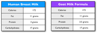 goat milk formula recipe easy to digest easy to make