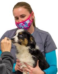 The family pet hospital laser and wellness center is an animal care facility equipped to handle all medical and surgical needs. Riverwood Veterinary Clinic