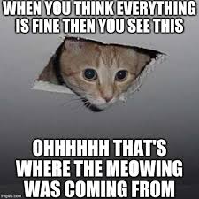 Ceiling cat memes are epic and super hilarious, kudos to all the fans and creative minds who have ceiling cat is a photoshop meme dependent on a photo of a feline looking through a gap in the. Ceiling Cat Meme Imgflip