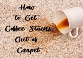 We did not find results for: 6 Super Fast Ways To Get Coffee Stains Out Of Carpet