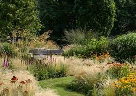 Keep in mind that you'll cut back ornamental grasses. 120 Grass Gardens Ideas In 2021 Grass Plants Ornamental Grasses