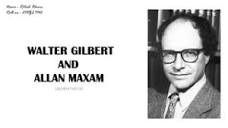 MAXAM & GILBERT_(scientists).pdf