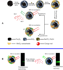 We provide manganese oxide nanoparticles with worldwide shipping from us you can easily purchase manganese oxide nanoparticles at great price. Manganese Dioxide Nanosheets From Preparation To Biomedical Applicati Ijn