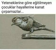 ayse ozkan adli kullanicinin eski panosundaki pin ozlu sozler egitim edebiyat