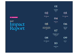 Ica Fund Good Jobs 2017 Impact Report Graphis