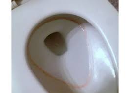 Pink stains in toilet bowls are usually caused by the bacteria serratia marcescens, but these can easily be removed with a disinfecting surface cleaner. Iron Staining Or Pink Slime