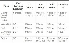 prepare a diet chart for 12 year old child