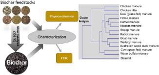 From the genuis who solves this puzzle, find the value of camel using the data given. Assessment Of The Fertilizer Potential Of Biochars Produced From Slow Pyrolysis Of Biosolid And Animal Manures Sciencedirect