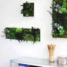 monoqi plant frame 22x22 pflanzen kunst furs wohnzimmer garten pflanzen