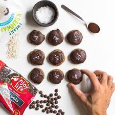 Shortbread cookies with bites of chocolate chips and lightly dusted in powdered sugar. Allergy Friendly Baking Ingredients For All Of Your Holiday Treats