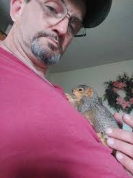 What animal is likely to eat a half-eaten squirrel in your yard?