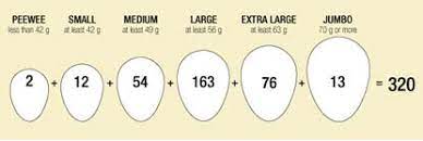 Egg Sizes Virtual Farm Tour