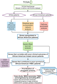 Most breast cancer symptoms are discovered by women during regular daily activities like bathing. High Expression Of Mkk3 Is Associated With Worse Clinical Outcomes In African American Breast Cancer Patients Journal Of Translational Medicine Full Text