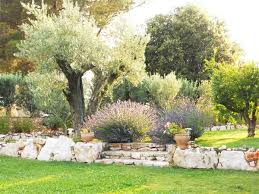 un petit mas sur la colline beaux jardins jardin mediterraneen amenagement jardin