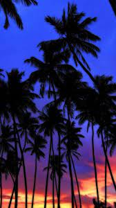Pink sunset picture for iphone 6s. Palm Tree Sunset Wallpapers On Wallpaperdog