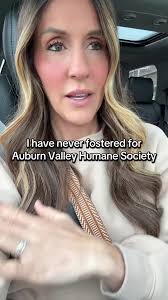 Clarifying My Experience with The Humane Society