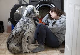 Mar 27, 2020 · vinegar contains acetic acid and acetic acid is a kind of fabric softener. 7 Hacks To Get Dog Hair Off Clothes In The Washer Or Dryer